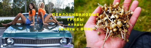 spice Чегем