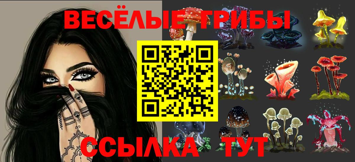 Сургут  Галлюциногенные грибы Psilocybine cubensis  Вход с VPN  Галлюциногенные грибы Psilocybe 