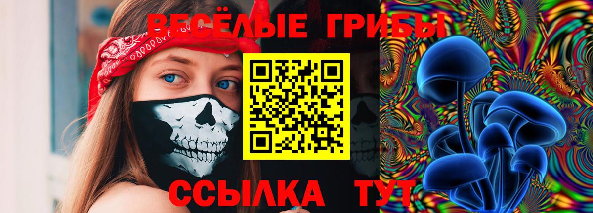 Галлюциногенные грибы мухоморы Сургут